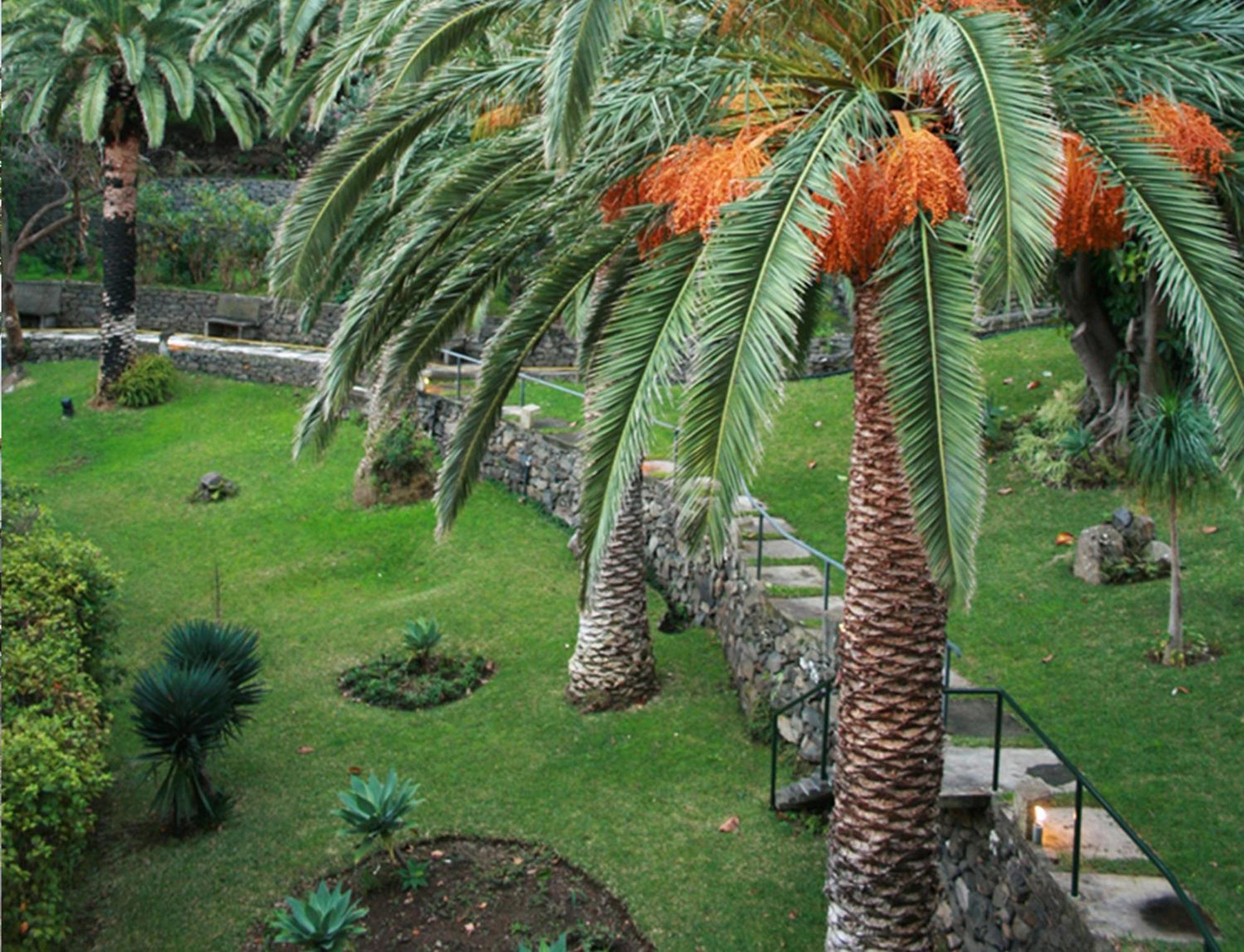 ホテル Dom Pedro Madeira マシコ エクステリア 写真